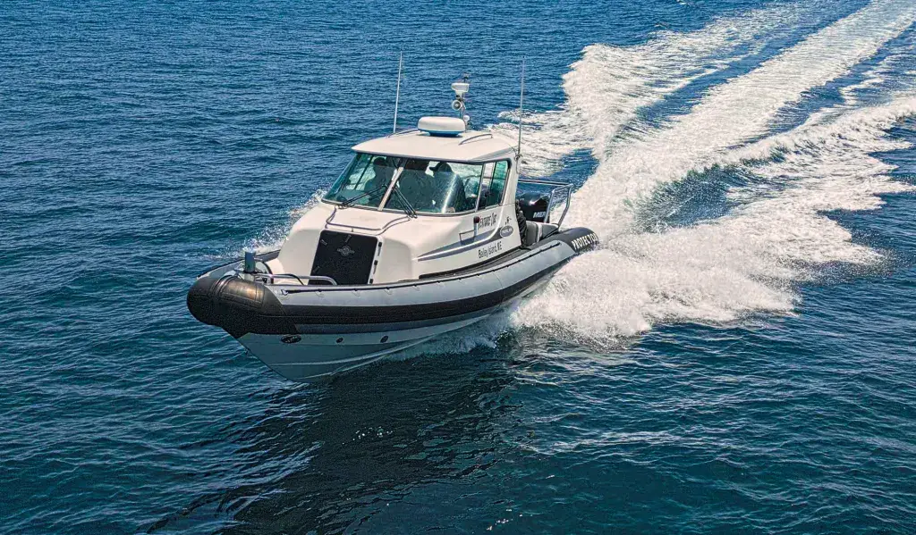 protectorfinwhale-2-1-1024x599